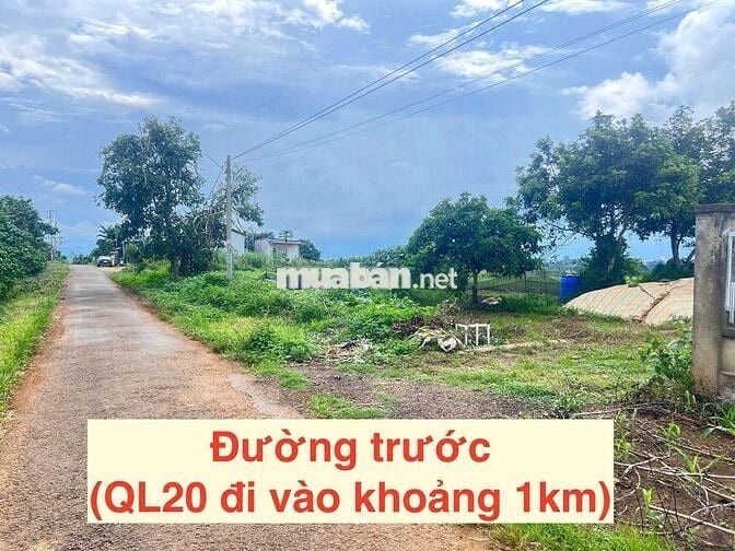 THANH LÝ LÔ ĐẤT FULL THỔ CƯ – LỘC AN (BẢO LÂM 2), TP. BẢO LỘC