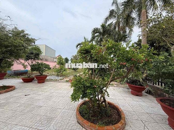 Cho Thuê Biệt Thự Khủng DT 1.700m2 Sân Vườn Siêu Rộng Có 2Pn 3Wc