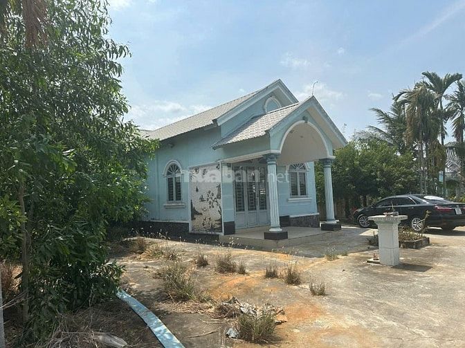 1,626m2, có 704 thổ +922V + nhà lai, đường XH, Long Khê, Cần Đước, LA