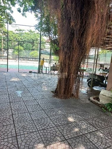 cho thuê mặt bằng kinh doanh đường út tịch ba trăm mét vuông