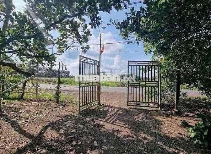 Có sổ hồng, mặt đường 16m, gần chợ