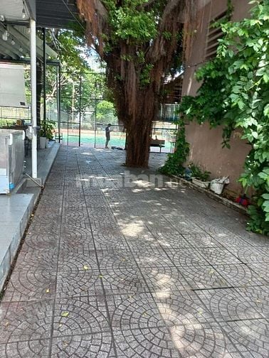 cho thuê mặt bằng kinh doanh đường út tịch ba trăm mét vuông