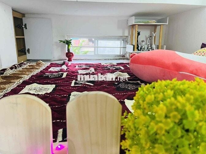 Bán CCMN 1ngủ 1gác xép Thoáng Đẹp - Ngõ 72 Nguyễn Trãi Sau Royal City