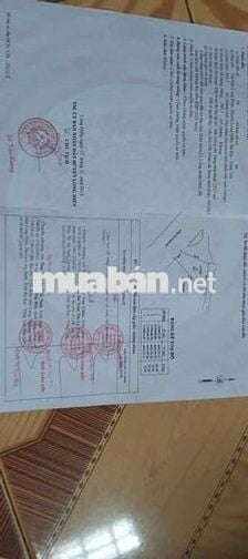 CHÍNH CHỦ GỬI BÁN LÔ ĐẤT MẶT TIỀN ĐƯỜNG SỐ 8 : thị trấn long điền