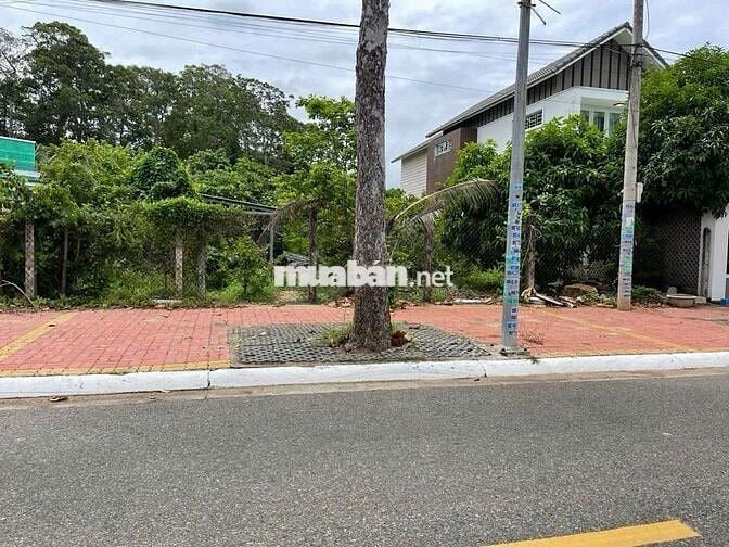 CHÍNH CHỦ GỬI BÁN LÔ ĐẤT MẶT TIỀN ĐƯỜNG SỐ 8 : thị trấn long điền