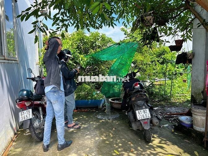 ĐẤT PHÚ MỸ – TDM  DT: 6 x 20m – Thổ cư 78m², sổ sẵn