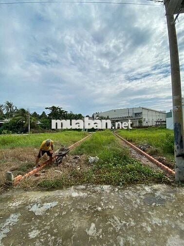 Giảm ngay 100tr còn 570tr/118m2 đất thổ cư.