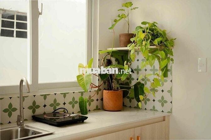 🏡Căn Hộ Có Gác Diện Tích 40m2 Mới 100% Ngay Trường Sa Bình Thạnh 🏡