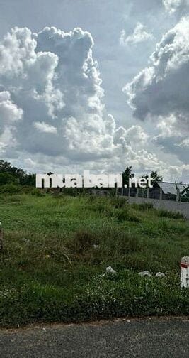 Giá rẻ bất ngờ 785tr lô đất Đ Nguyễn Hữu Trí , tt Tân Túc ,Bình Chánh