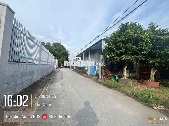 SỔ SẴN ĐẤT THỦ DẦU MỘT 150M2 SẴN THỔ CƯ , MTĐ NHỰA GẦN VÀNH ĐAI 3