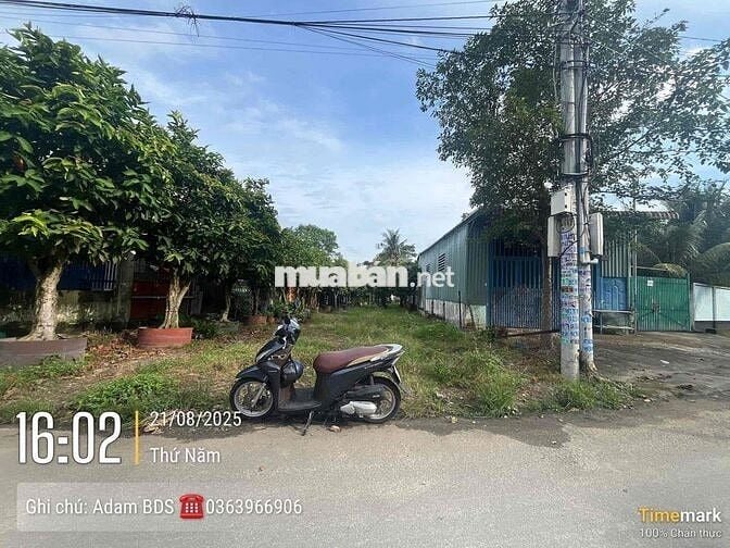 SỔ SẴN ĐẤT THỦ DẦU MỘT 150M2 SẴN THỔ CƯ , MTĐ NHỰA GẦN VÀNH ĐAI 3