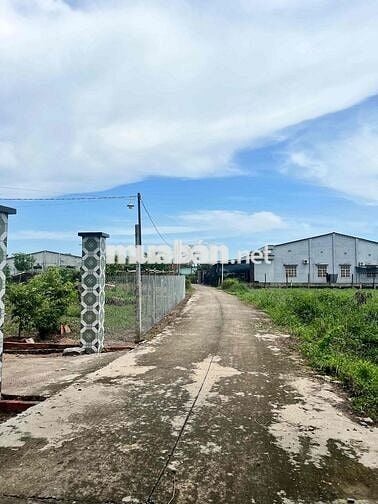 BÁN ĐẤT GẦN TRƯỜNG TIỂU HỌC BÀU ĐỒN - GÒ DẦU