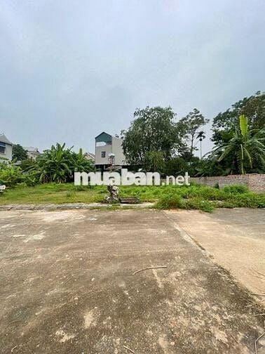 🔥 Bán đất khu TĐC Tam Dương Bắc – Phú Thọ (trước thuộc xã Hoàng Hoa