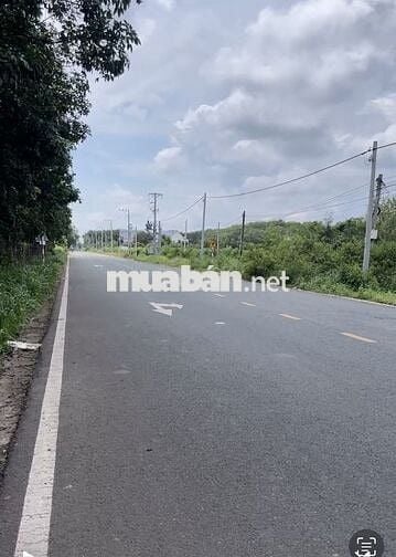 EM BÁN LÔ ĐẤT CHƠN THÀNH GIÁ RẺ ANH CHỊ MUA ĐẦU TƯ Ạ