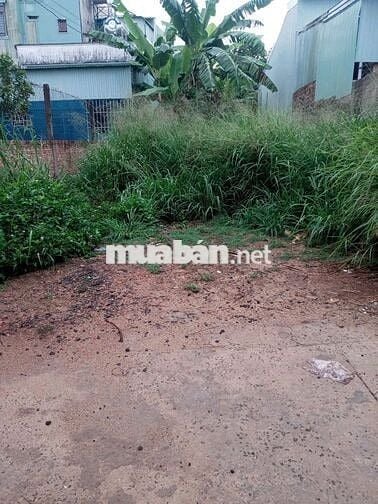 Cần bán gấp đất 150m² hẻm 3 Đinh Công Tráng – thổ cư 141m² – giá tốt