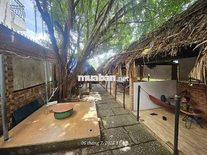 Nhà và quan cà-phê cần bán gấp trung tâm lái Thiêu