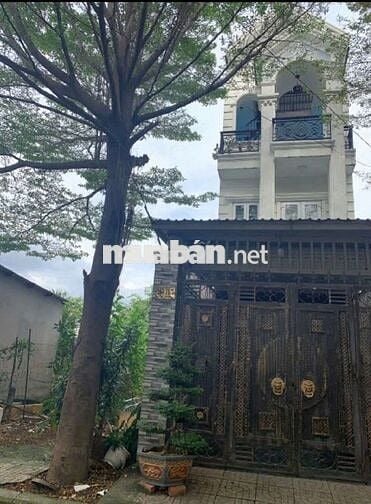 Đất đẹp  TLộc 41 mặt tiền đường 8m vỉa hè 
💰Chỉ 4,2 tỷ