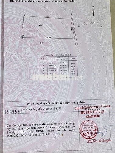 đất trồng cây lâu năm sát bv xuyên á
11 tỷ - 6.087 m2