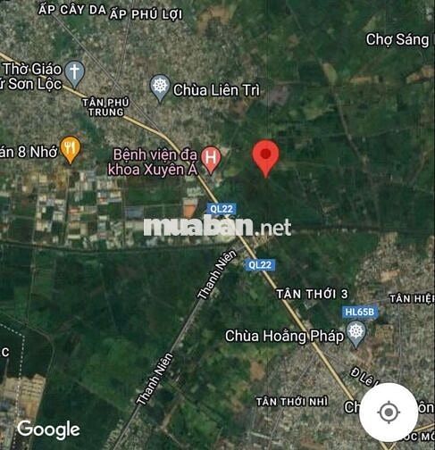 đất trồng cây lâu năm sát bv xuyên á
11 tỷ - 6.087 m2