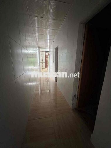 Cho Thuê Nhà Nguyên Căn rộng rãi Cao ráo sạch sẽ TP Huế
