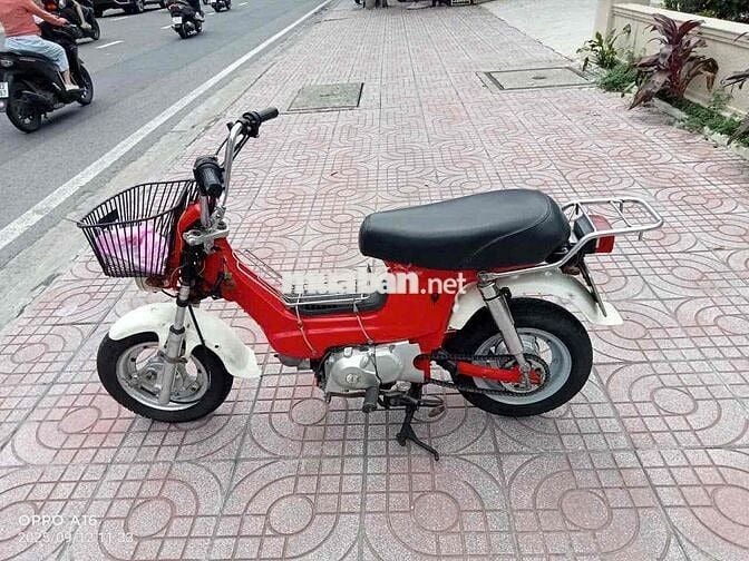 vhaly 80 có đề