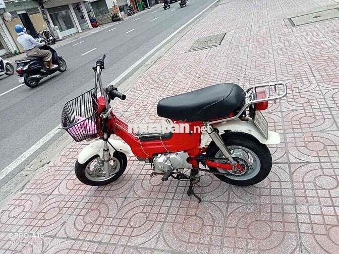 vhaly 80 có đề