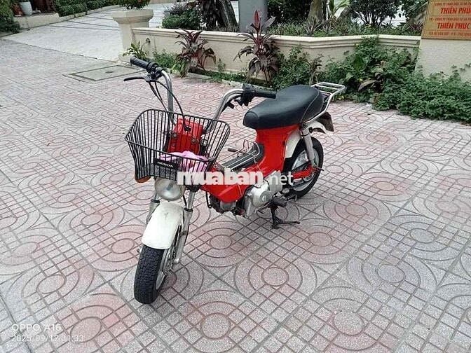 vhaly 80 có đề