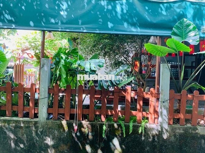 🏡 CHO THUÊ NHÀ CẤP 4 ĐẸP CHUẨN PHONG CÁCH HÀN QUỐC – GIÁ CHỈ 7 TRIỆU/