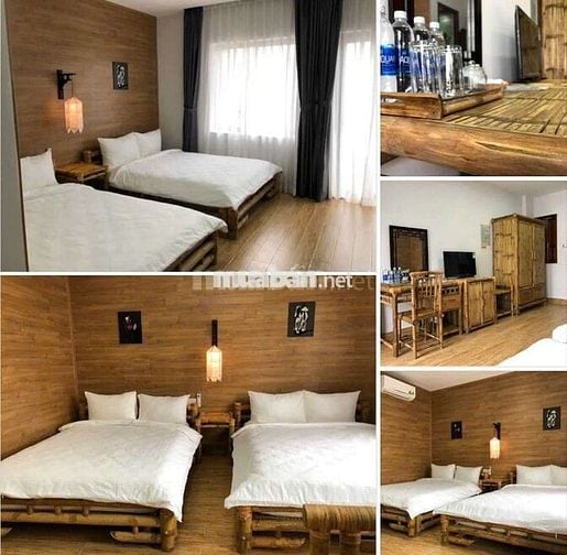 Căn hộ kinh doanh có dòng tiền