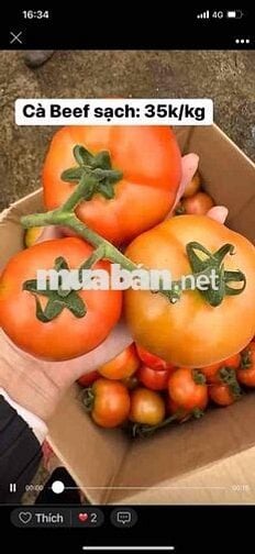 CHO THUÊ NHÀ VƯỜN LÀI : 4,5 x 17 M đuc 1 LẦU ĐẸP : 3 PN . hẻm 6M