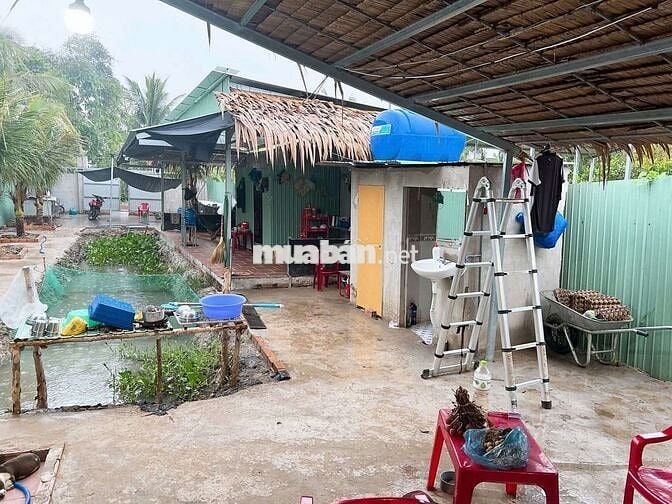 Bán vườn nghĩ dưỡng siêu rẻ siêu ok