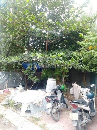 Bán nền đất biệt thự khu dân cư Kim Sơn, phường Tân Phong, Quận 7 