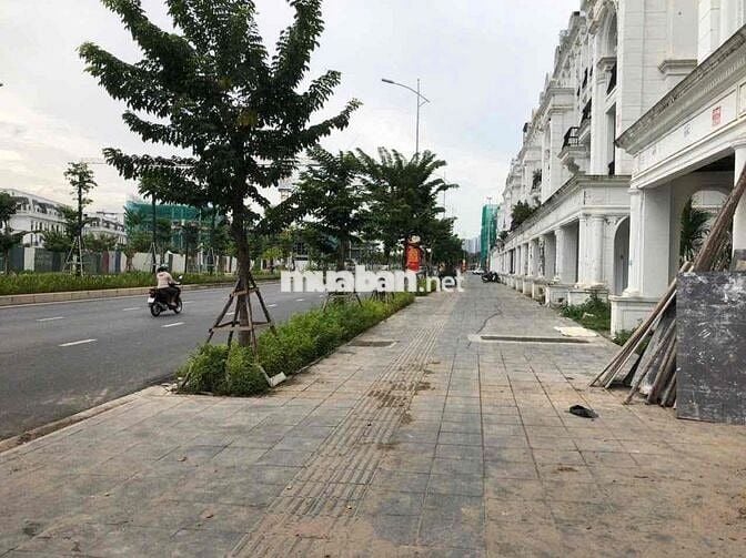 Cho thuê phòng trọ Louis city Đại mỗ,Hà đông gần đại học phenika, CMC