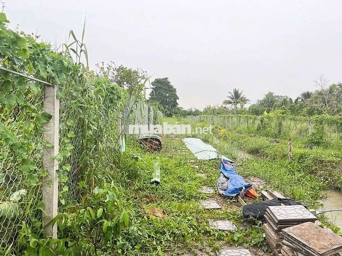 Bán vườn nghĩ dưỡng siêu rẻ siêu ok