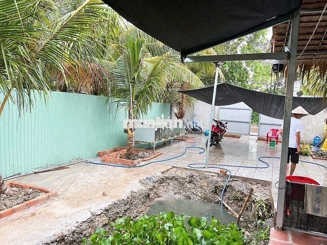Bán vườn nghĩ dưỡng siêu rẻ siêu ok