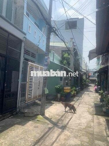 cho thuê nhà sát trường tiểu học kim đồng liên khu 45 binhd tân 2mt