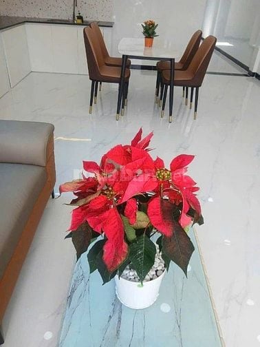 Bán nhà cho thuê tháng 8tr gần Nhà Thiếu Nhi Q Bình Tân giá 1 tỷ 080 