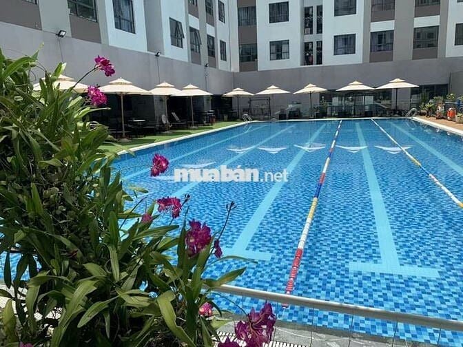 Cho thuê Green river quận 8 căn 2 phòng ngủ 2wc full nội thất giá 11tr