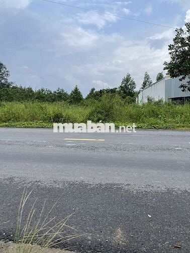 CHỦ NGỘP BÁN LÔ ĐẤT MẶT TIỀN ĐƯỜNG NHỰA VỊ TRÍ VÔ CÙNG ĐẸP