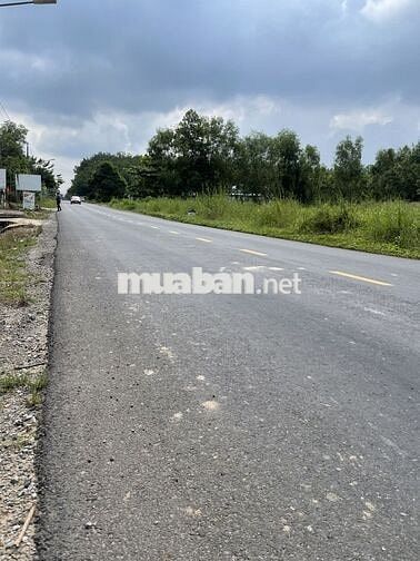 CHỦ NGỘP BÁN LÔ ĐẤT MẶT TIỀN ĐƯỜNG NHỰA VỊ TRÍ VÔ CÙNG ĐẸP