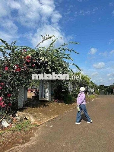 Bán đất thổ cư phường BMT, mặt tiền đường nhựa thôn 8
