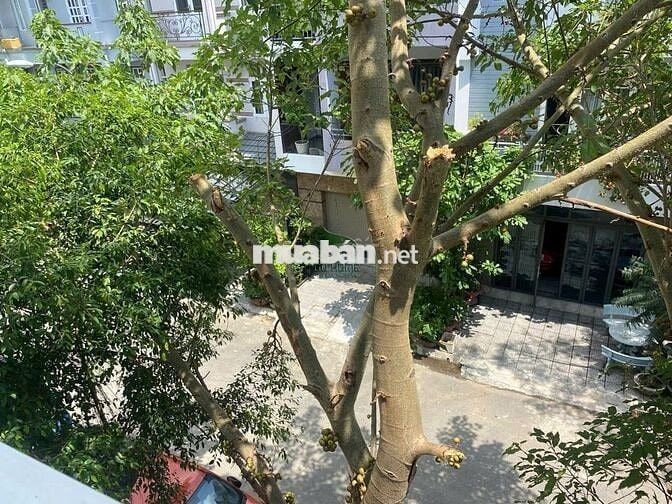CHO THUÊ NHÀ 3 TẦNG 3 PHÒNG NGỦ KHU VĨNH ĐIỀM TRUNG GIÁ 18 TRIỆU/THÁNG
