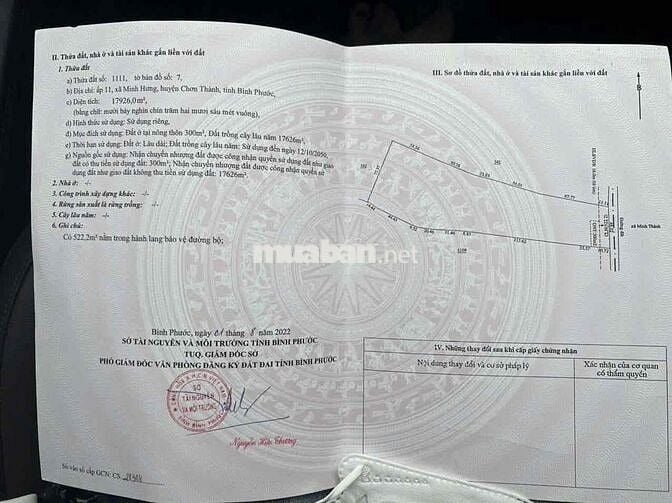 1hec8 cao su p.Minh Hưng Đồng Nai ( Bình Phước củ)