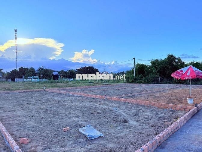 ✨ Đất Nền Toại Khương – 19 lô trung tâm Hòa Vang