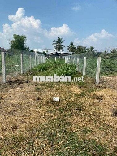 Đất sổ đỏ 188,7m2, Nở hậu, Xã Bình Phú, Huyện Gò Công Tây