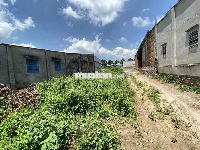 🌴 BÁN ĐẤT ĐẸP XÃ BƯNG RIỀNG – GẦN BIỂN HỒ CỐC, BÌNH CHÂU 🌴