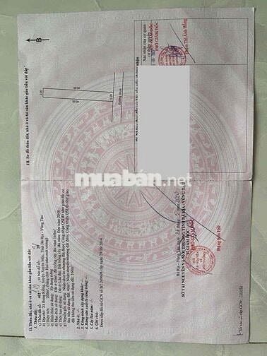 🌴 BÁN ĐẤT ĐẸP XÃ BƯNG RIỀNG – GẦN BIỂN HỒ CỐC, BÌNH CHÂU 🌴