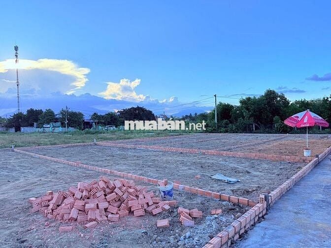 ✨ Đất Nền Toại Khương – 19 lô trung tâm Hòa Vang