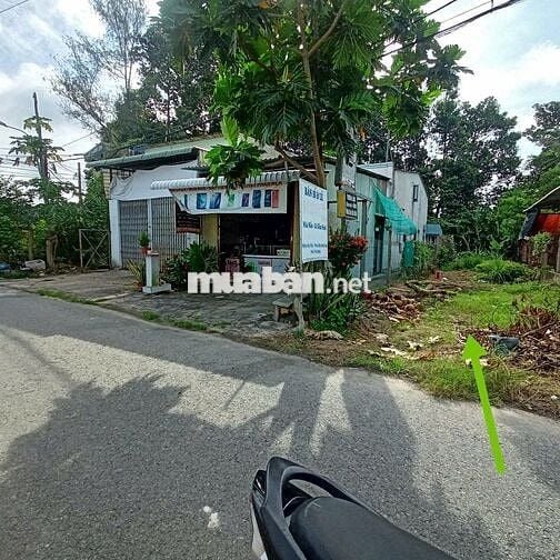 Cần bán 200m2 đất, giá 1,5 tỷ, Đ.Liêu Bình Hương, Tân Thông Hội,