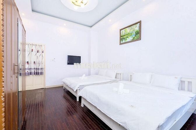cho thuê villa hồ bơi đẹp làm homestay